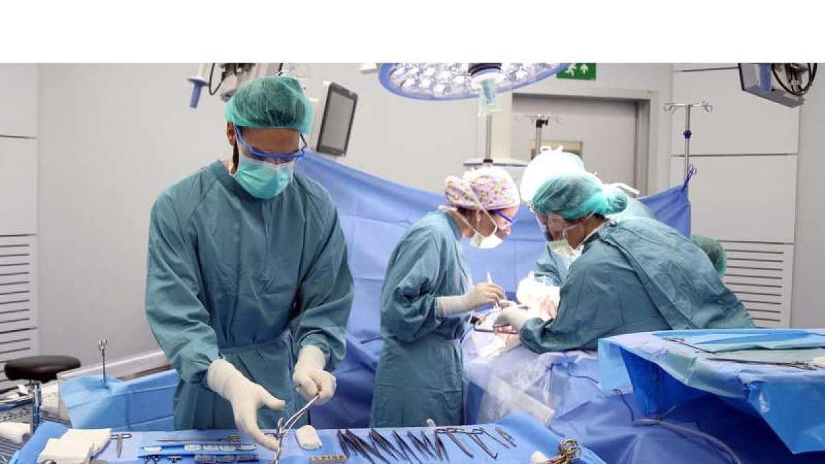 PImagen cedida por el Hospital Vall d’Hebron durante la realización de un trasplante de órganos en el centro sanitario. EFE
