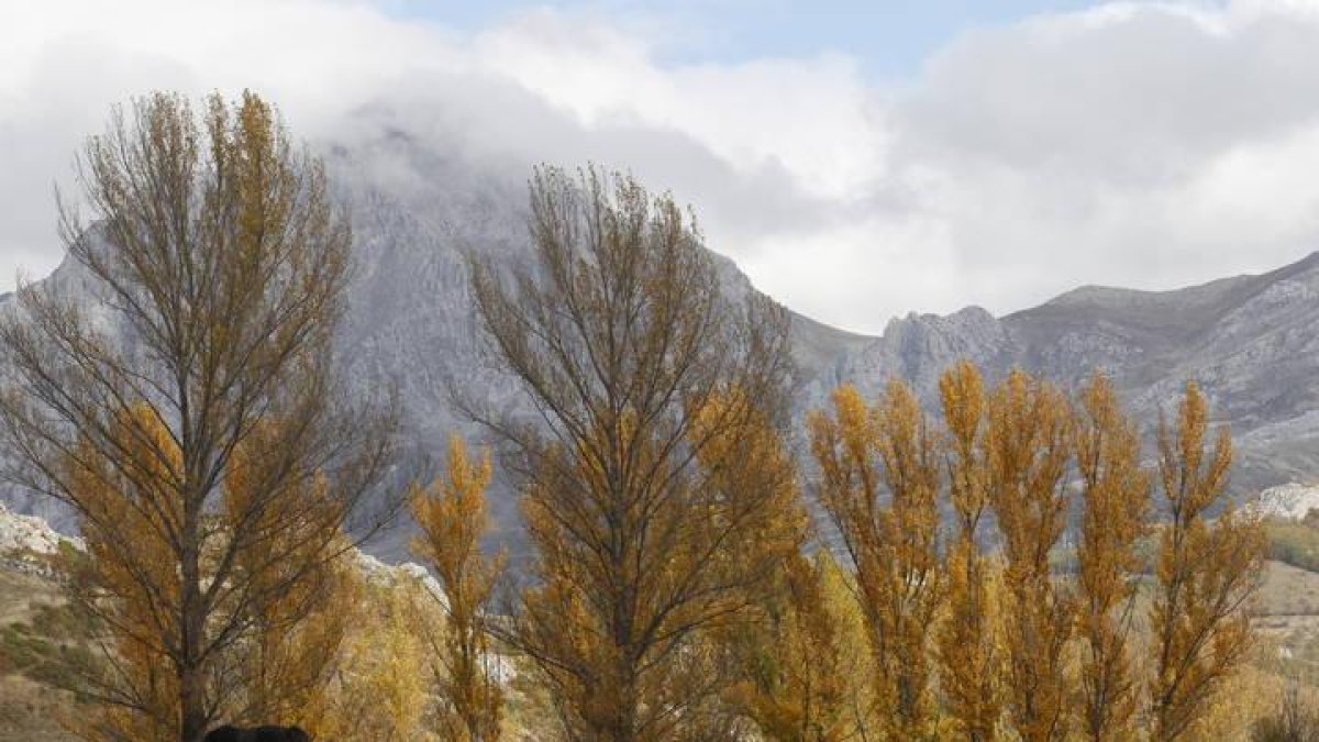 Paisaje de Babia.