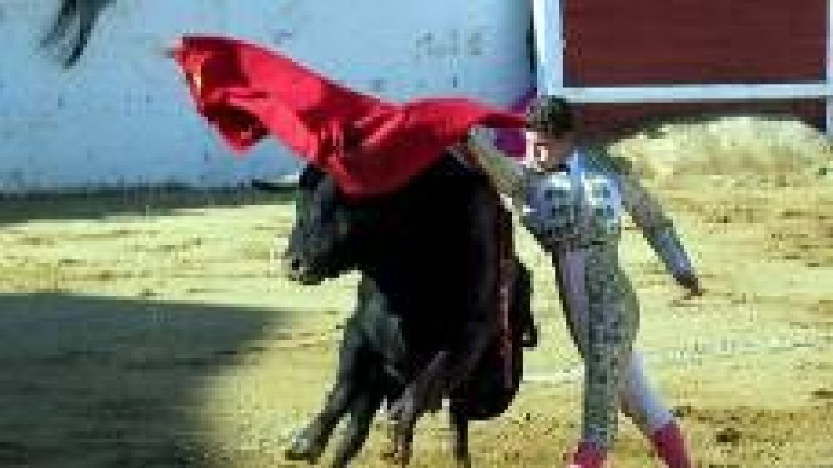 Raúl Cuadrado, durante su actuación con los novillos de la ganadería El Zurgüento