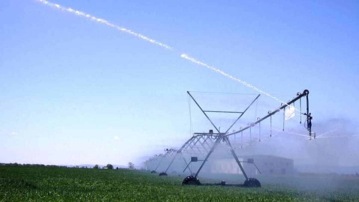 Imagen de un campo con regadío modernizado que necesitan gran cantidad de energía eléctrica para dar presión al agua. FERDUERO