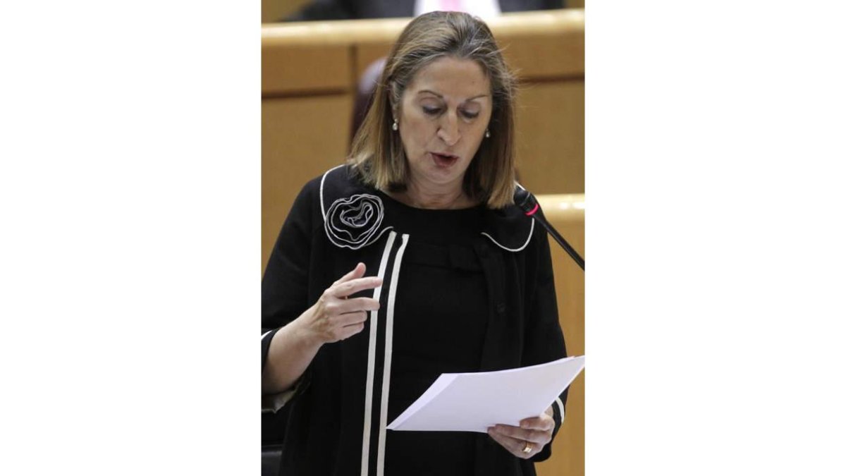 Un momento de la intervención de la ministra en el Senado.