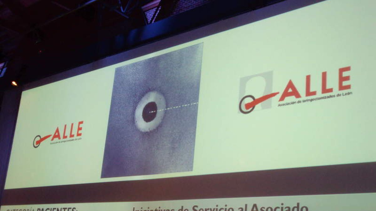 Momento del anuncio del premio a Alle en Madrid.