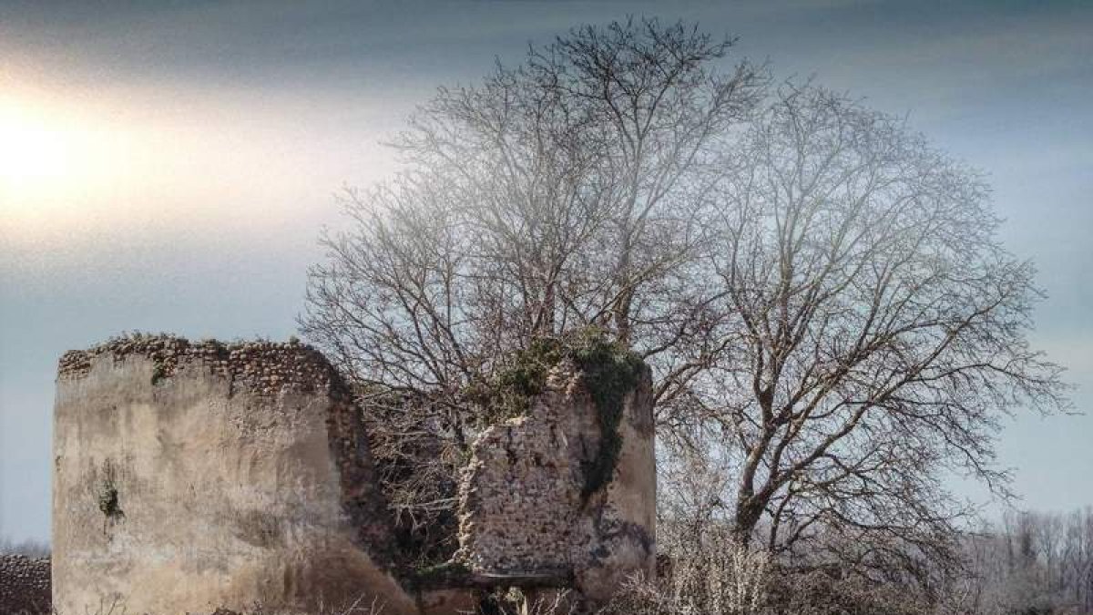 Fotografía del Palomar de Pepe y Lola, en Mansilla Mayor. IRMA BASARTE
