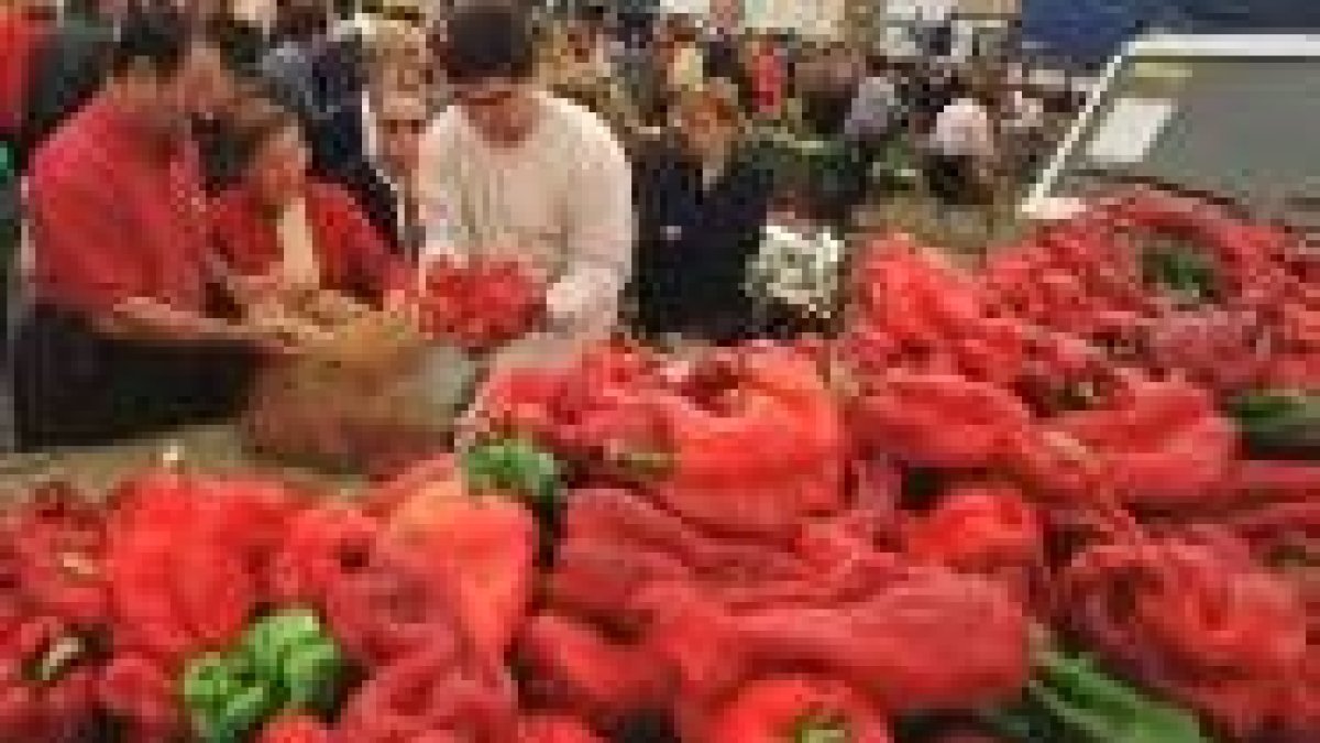 Varias toneladas de pimientos se ponen a disposición del público cada año en Fresno de la Vega