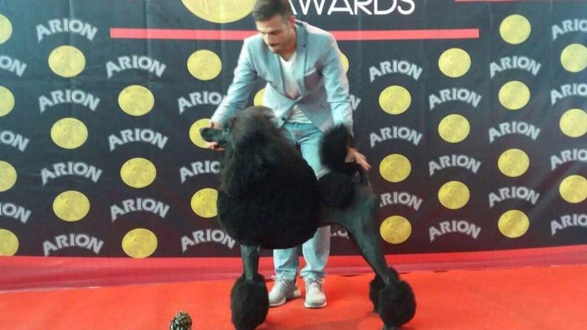 El caniche gigante negro ganador de la exposición celebrada en el Mercado de Ganados de León. DL