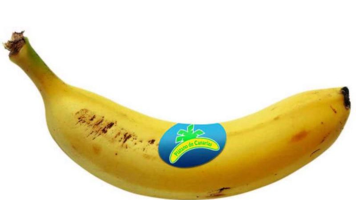 plátano de canarias