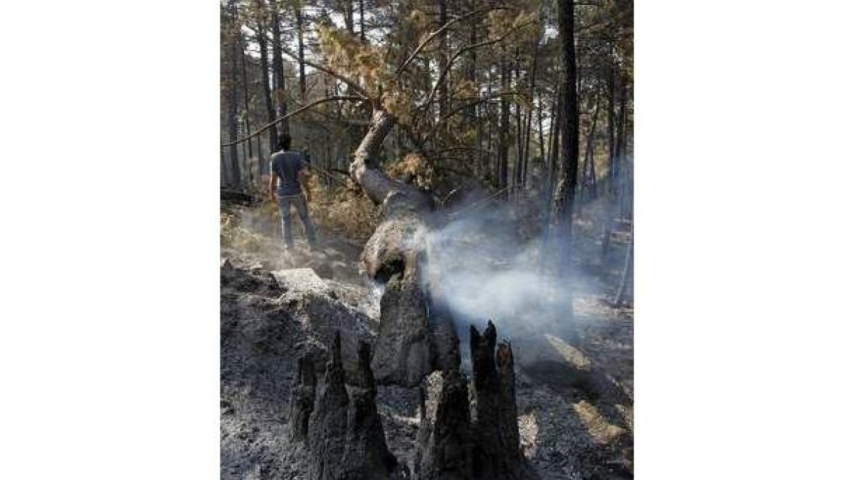 El fuego de Ávila se cobró dos vidas y 5.000 hectáreas.