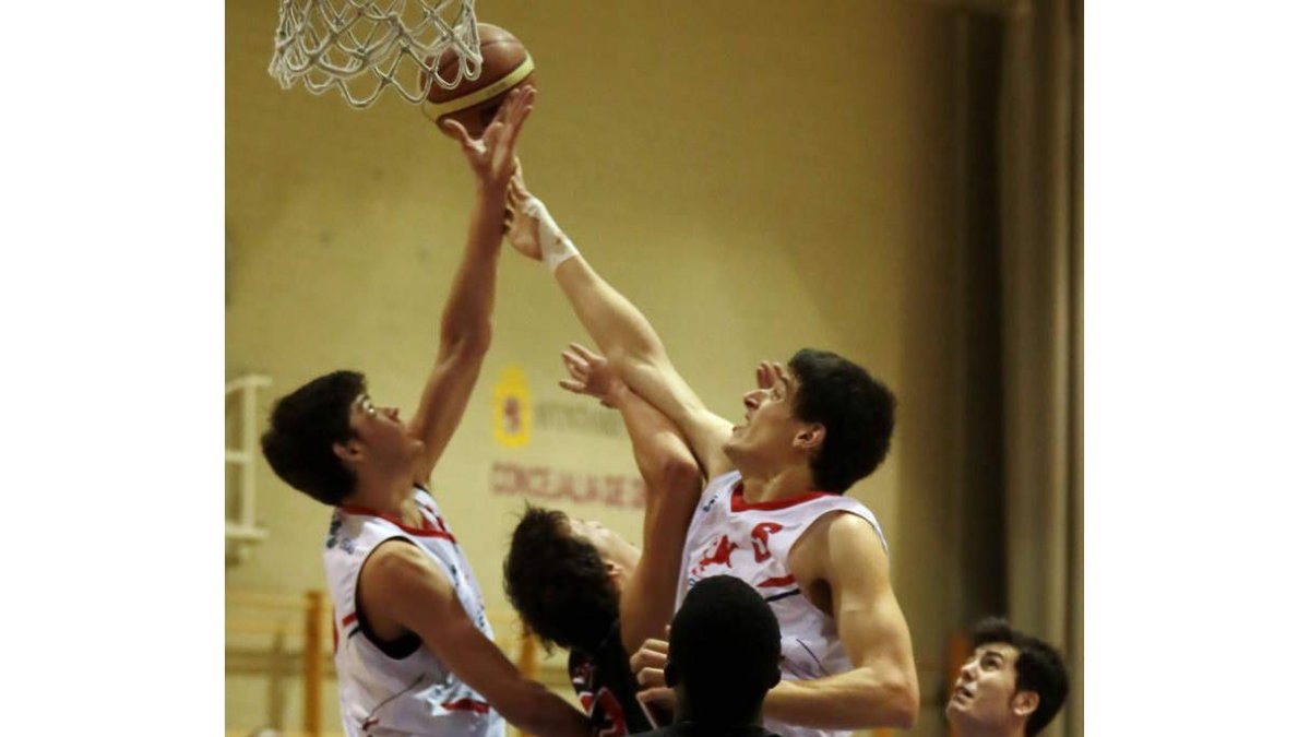Sergio Martínez (i) no podrá tener la ayuda de Lazo (5) en el juego interior del Agustinos Leclerc.