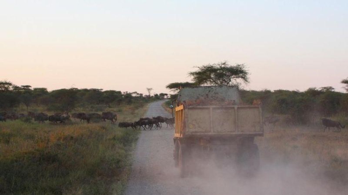 Un camión conduciendo por un camino en Tanzania.