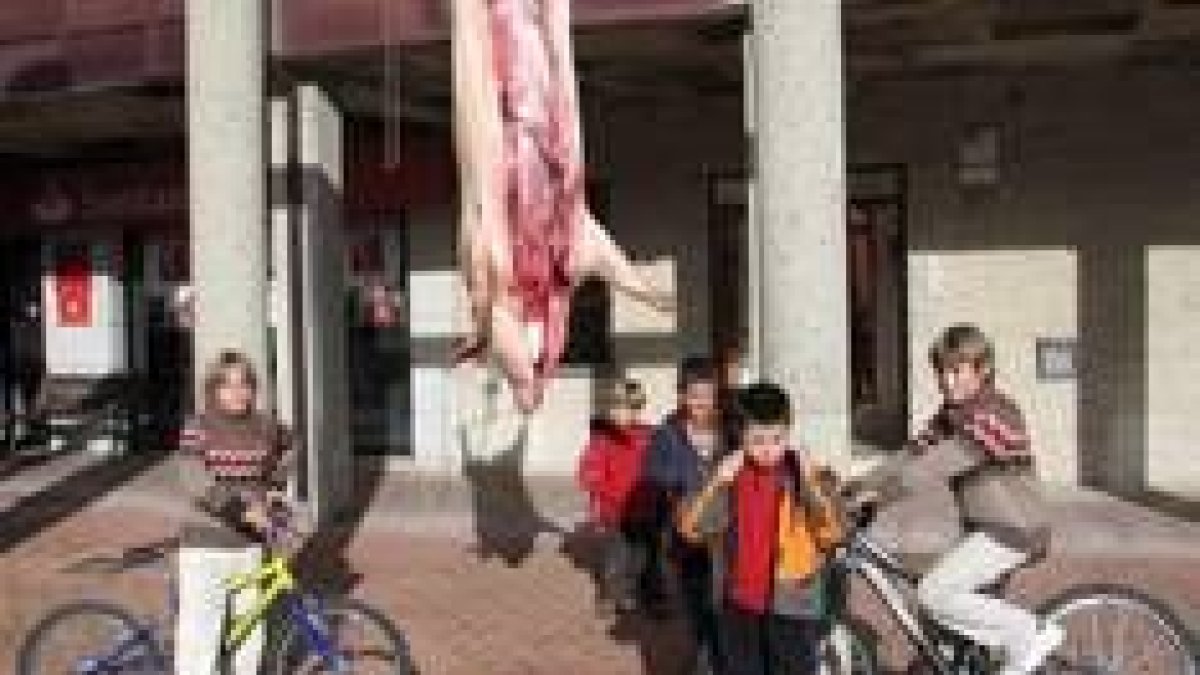 Los más pequeños que no han conocido la matanza se mostraron muy curiosos ante el cerdo