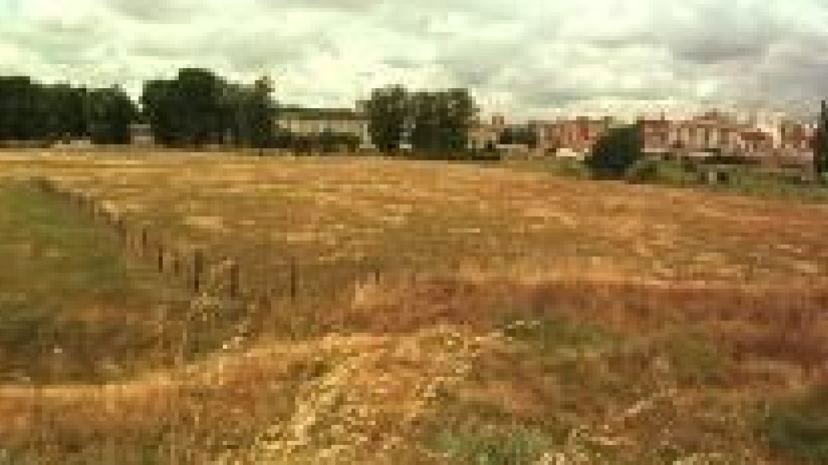 El Ayuntamiento posee en el polígono de La Lastra el 40% de las 100 hectáreas del área