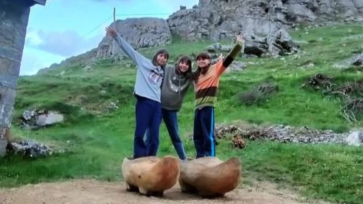 Dos tallas de madera de grandes dimensiones representan al original calzado. DL