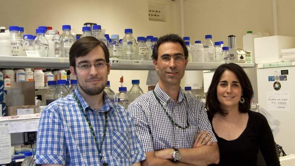 Javier Gutiérrez y Noelia Bernando realizan la tesis doctoral con el investigador leonés Juan Hermoso Domínguez, en el centro.