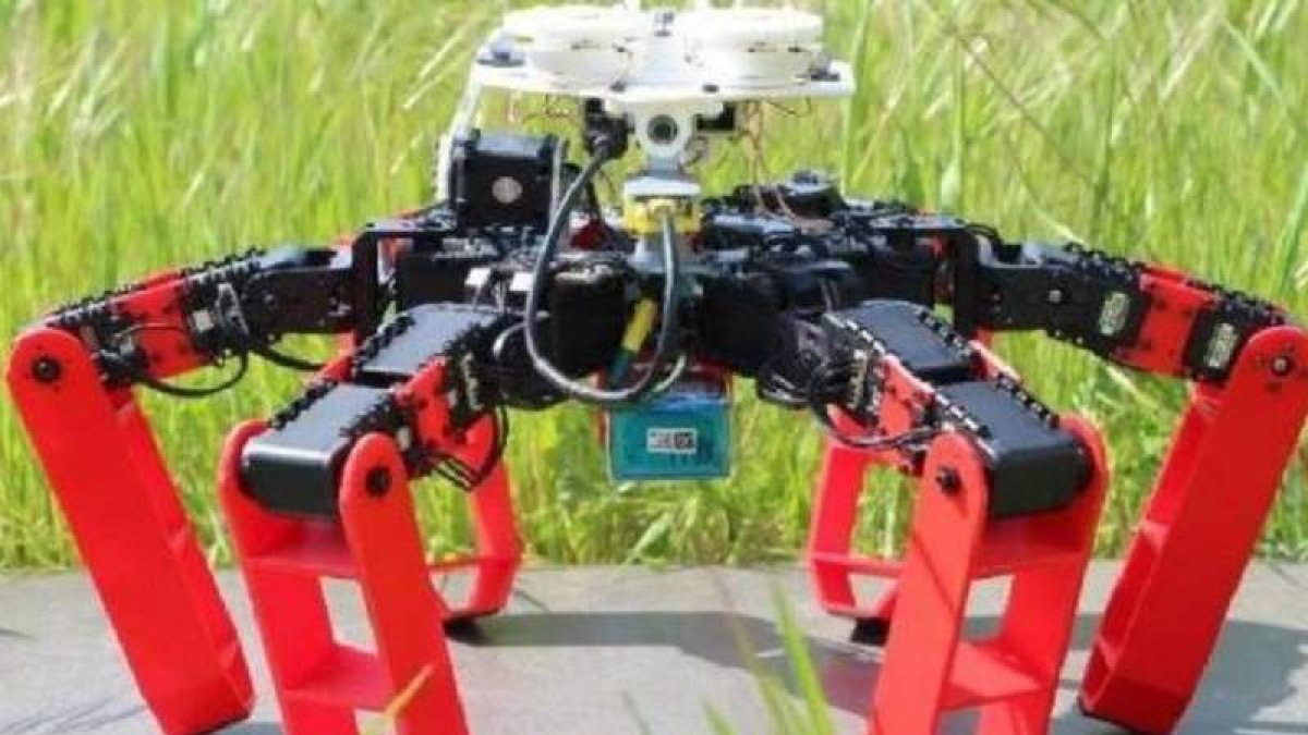 El robot se desplaza con una brújula sensible a la luz del cielo.