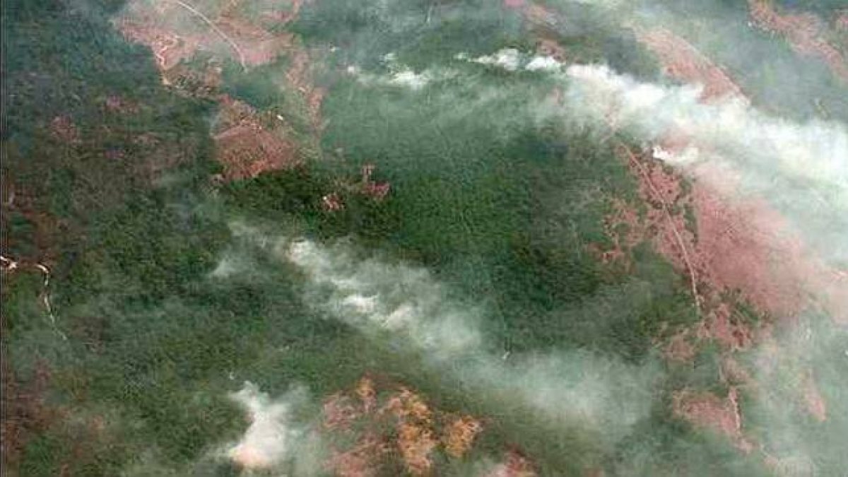 Fotografía aérea del incendio forestal en la sierra de Gata.