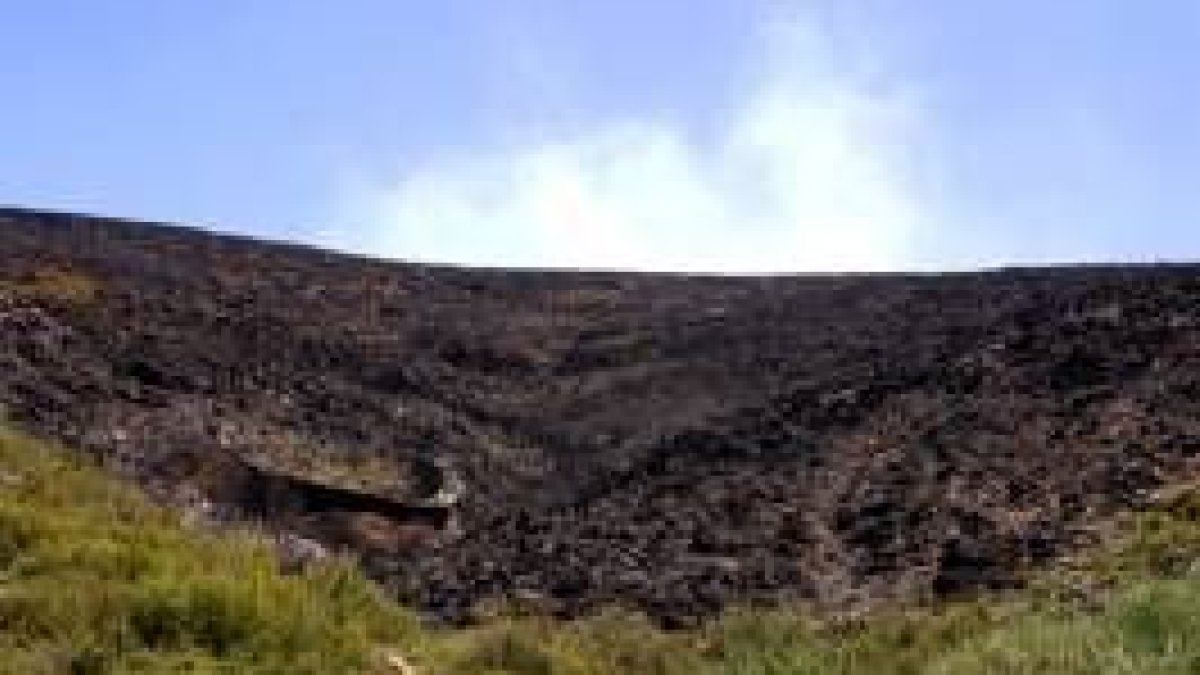 Una de las zonas de monte bajo que han perecido bajo las llamas en el entorno de Anllarinos