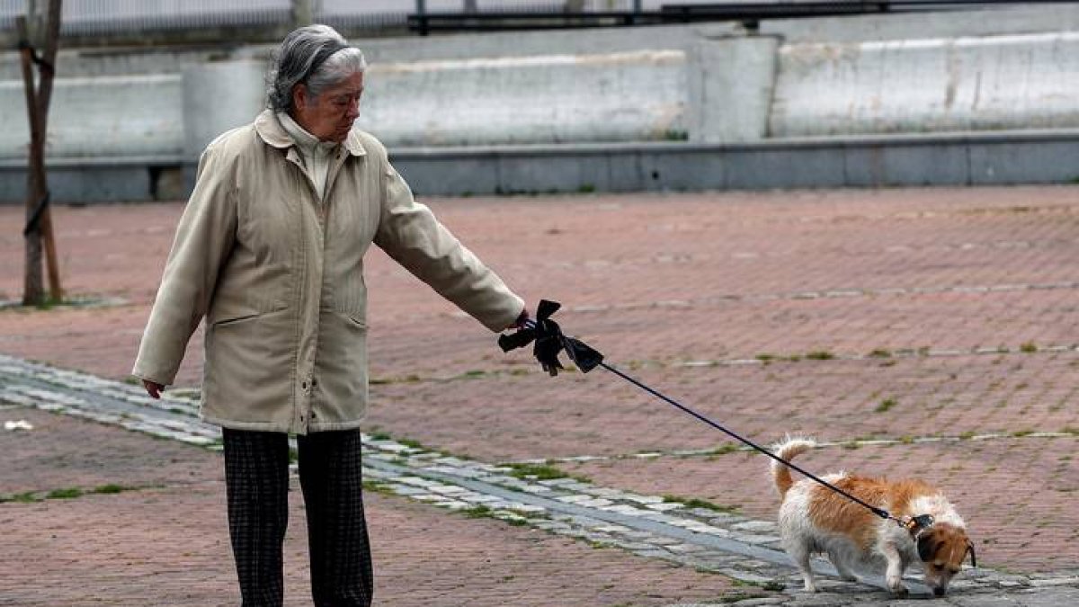 Una señora pasea a su perro por Madrid. MARISCAL