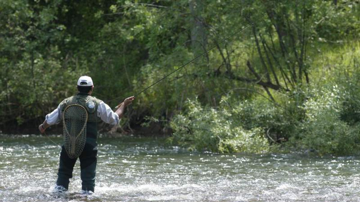 El río Esla es uno de los afectados al cambiar los límites de sus aguas trucheras. RAMIRO