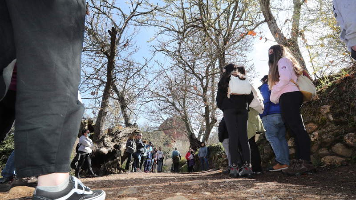 La organización de las visitas ha sido otra innovación que ha llegado al paraje berciano durante los últimos años. El acceso está más controlado evitando en lo posible que se produzcan daños en toda la zona arqueológica.