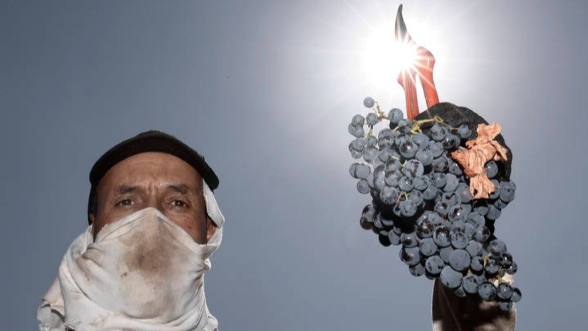 El calor abarcará cada vez más tiempo y espacio. EFE