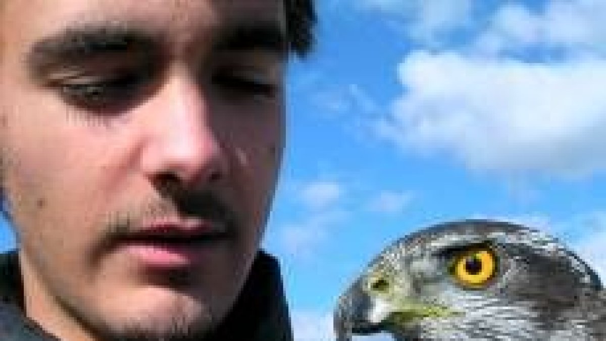 Pese a su juventud, Pedro Miguélez es un cetrero experimentado