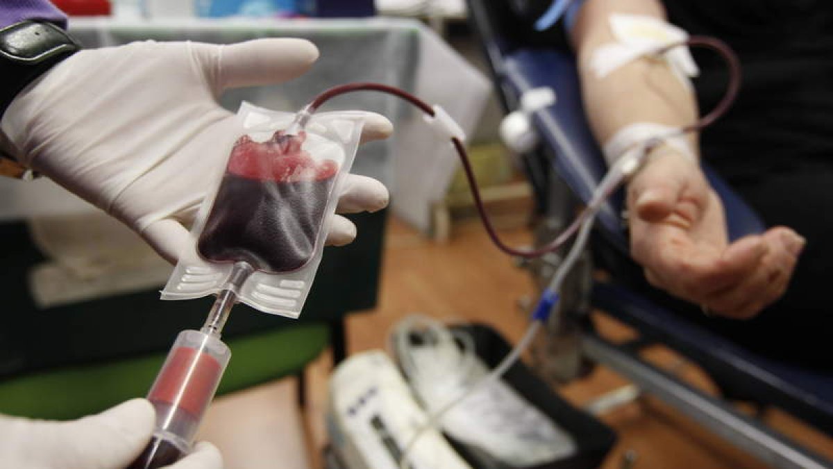 Un pequeño saco como este contiene 450 mililitros del valioso líquido rojo y una vez que es analizada, se procede a fraccionarla en distintos componentes, como el plasma o las plaquetas, para varios usos.