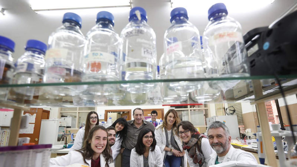 Parte del grupo de investigación de Neurobiología. Alba Puente, María Santos, José Luis Aldea, Marta Purriños, Arsenio Fernández, Paloma González, Diego Pérez, Berta Anuncibay, Irene Fernández y José Manuel Orden. JESÚS F. SALVADORES