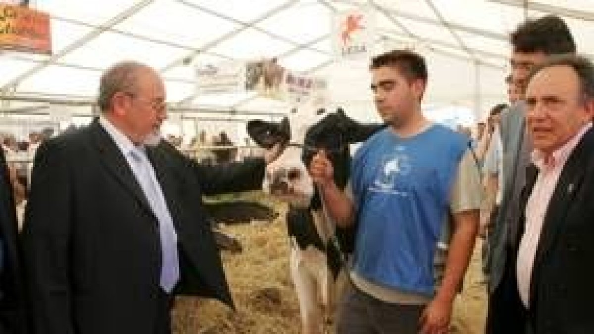 José Valín asistió ayer a la feria y exposición del concurso de ganado de raza frisona en Toral