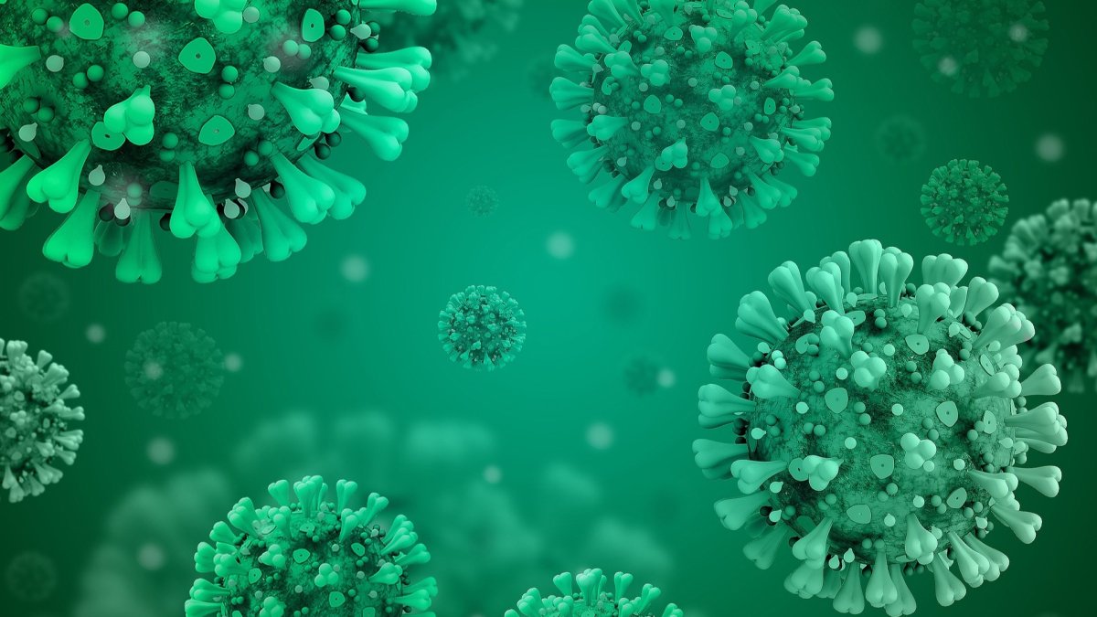 Representación gráfica que ilustra el coronavirus. DL