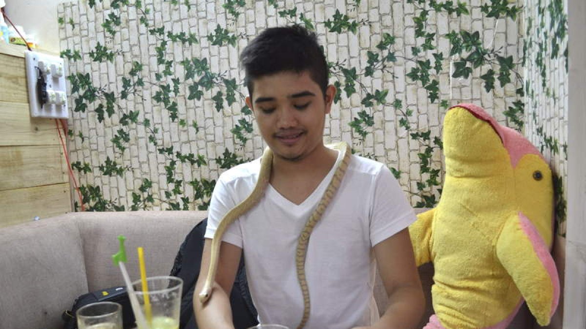 Un cliente de la cafetería Tegu sostiene una serpiente.