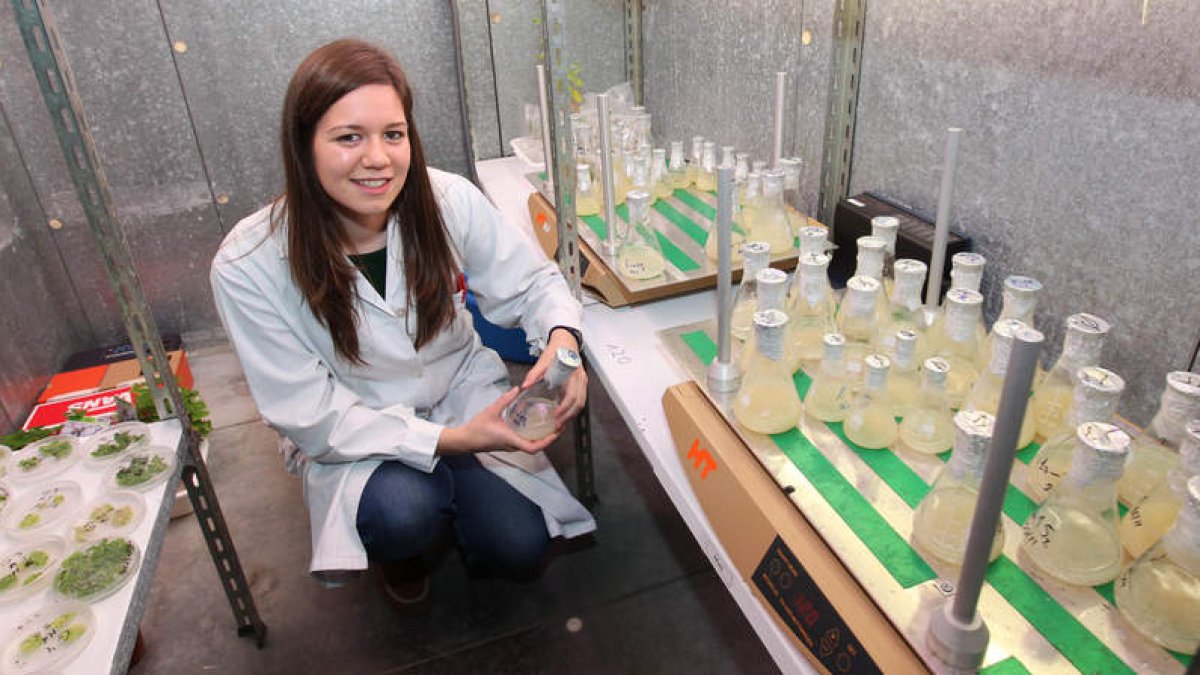 Romina Martínez Rubio en el laboratorio del Área Vegetal de Biología.