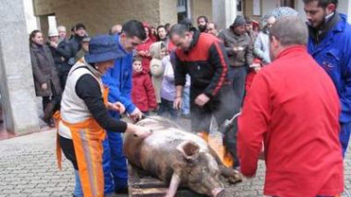 Momento en que los mozos y mozas limpian el gocho en la plaza de los Pueblos de Riaño.