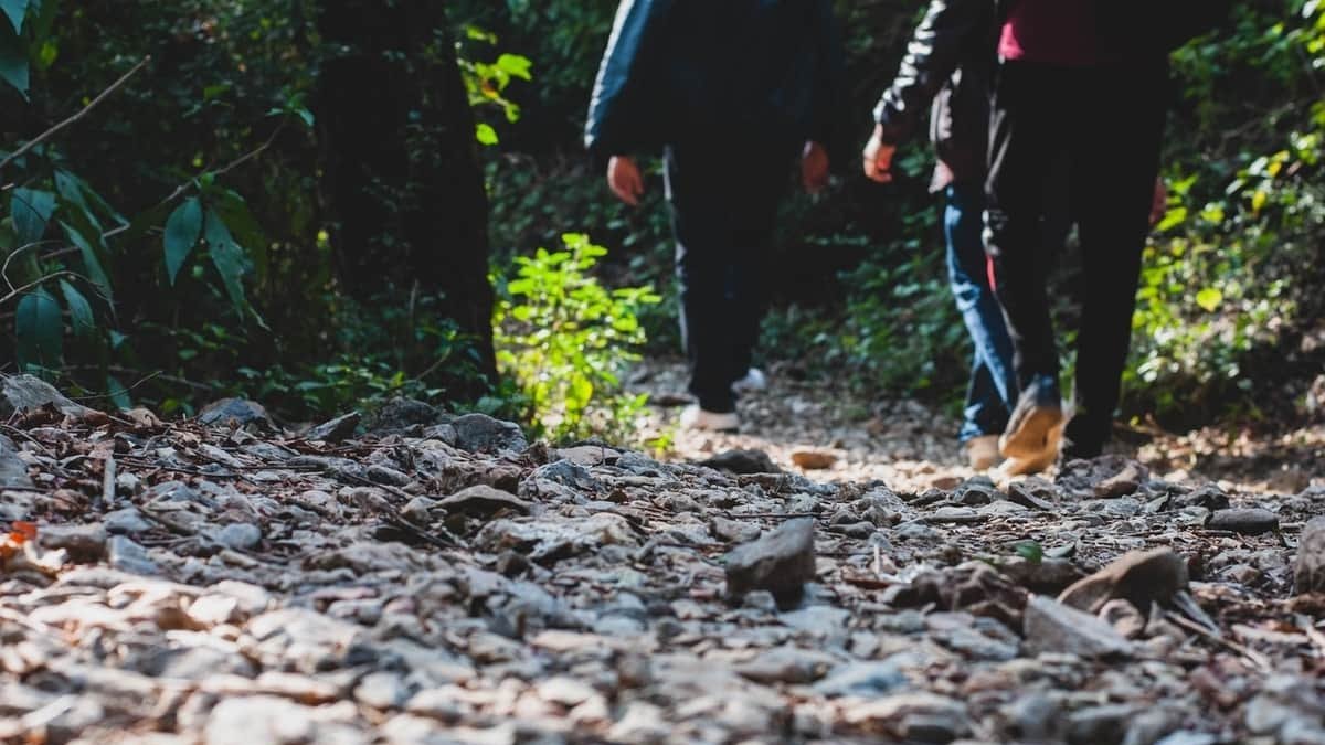 El tiempo en Prado de la Guzpeña AEMET Foto: Pexels