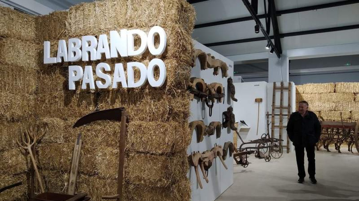 Imagen de la exposición ‘Labrando Pasado’. DL