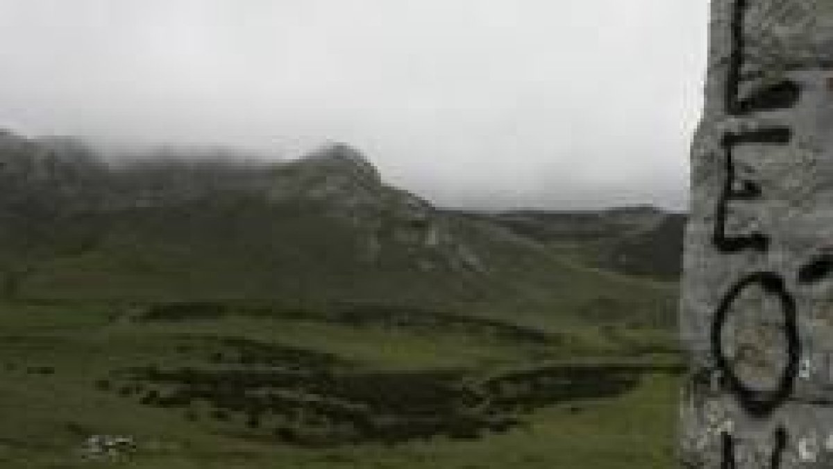 Vista general del puerto de Pinos, donde desde esta semana coincide ganado leonés y asturiano