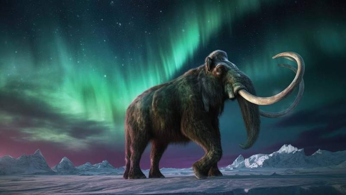 Recreación de un ejemplar de mamut en la época de las glaciaciones. CREATIVE COMMONS