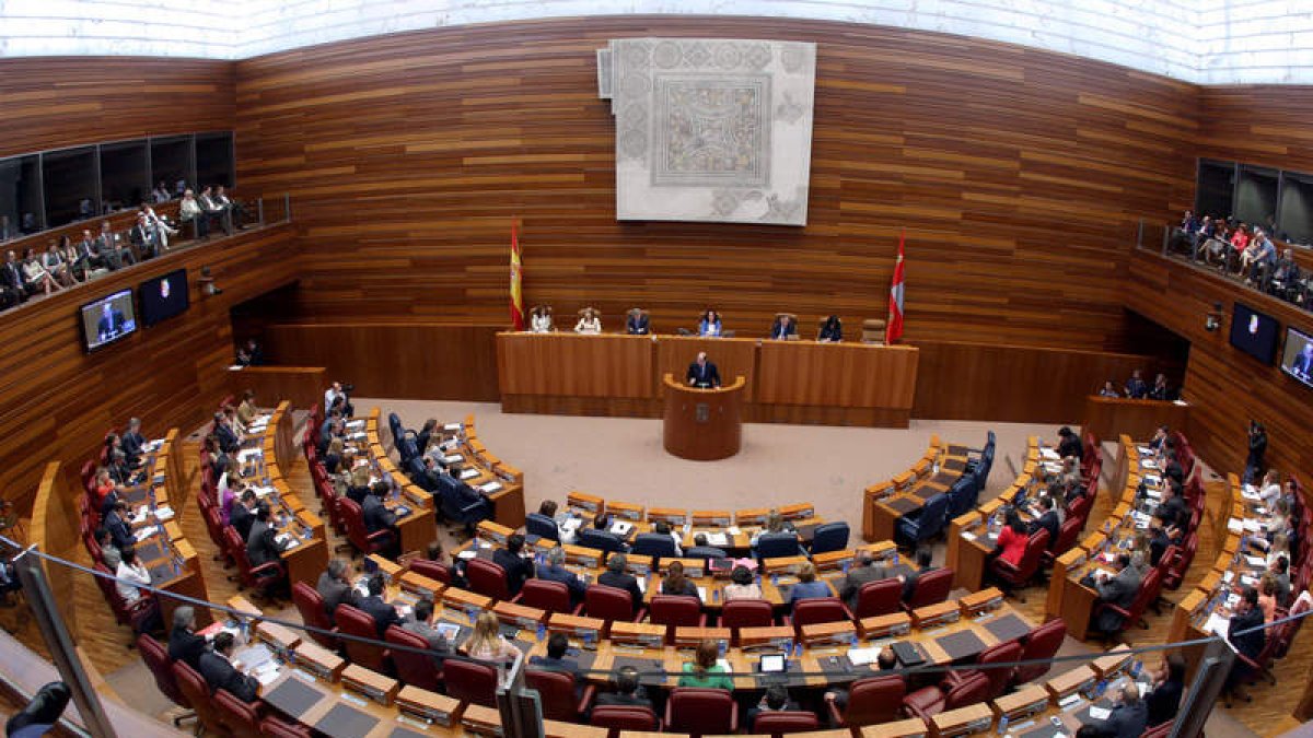 Imagen de uno de los Plenos de las Cortes de Castilla y León, que este verano ha celebrado varias sesiones plenarias para debatir algunos asuntos.