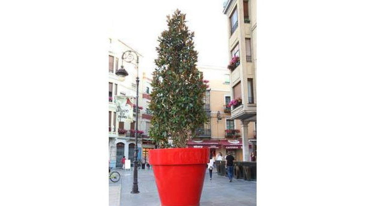 León decora sus calles con este tipo de macetas gigantes.