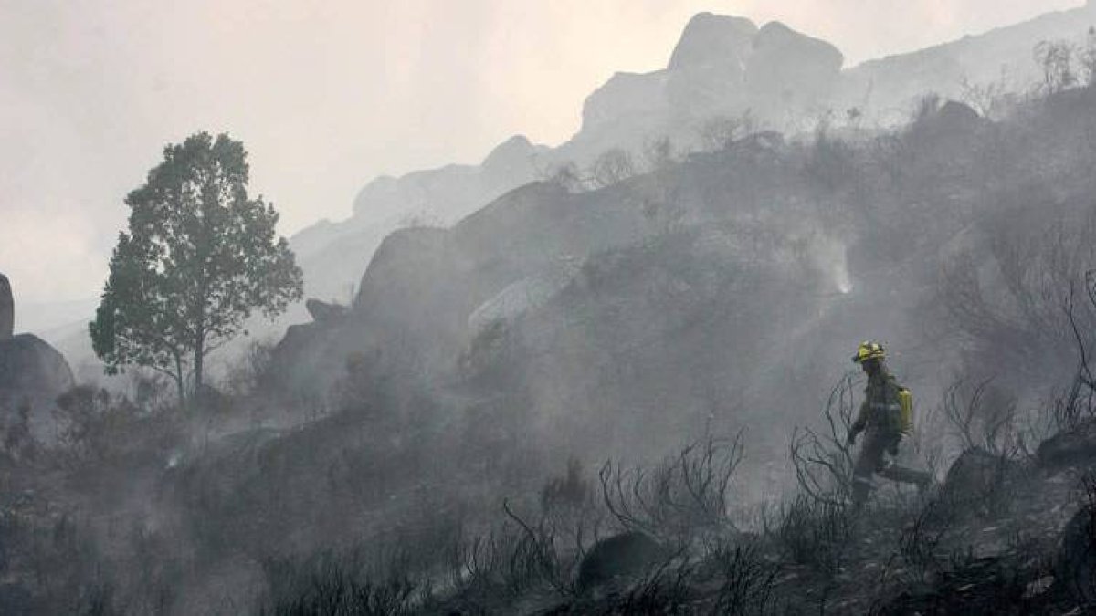 El Bierzo recibe medio millón de euros para recuperación de montes quemados