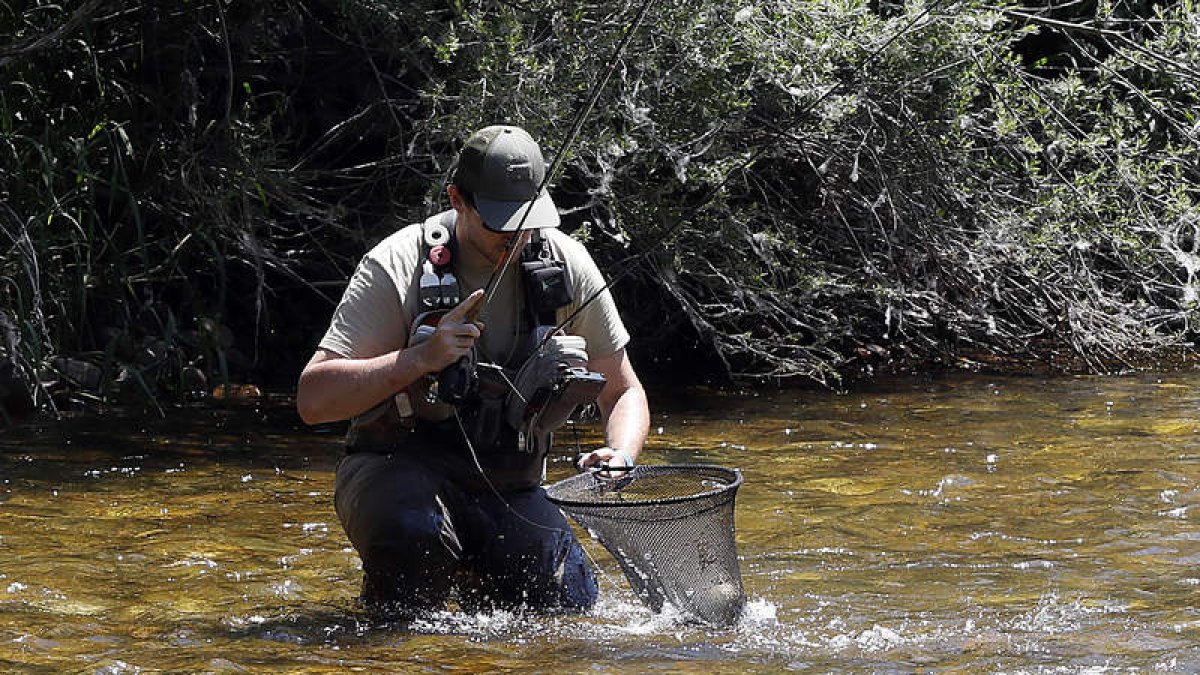 Pesca del cangrejo en León: Tramos, fechas y normativas