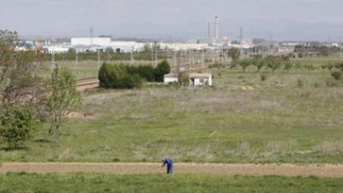 El trabajo del campo se está masculinizando.
