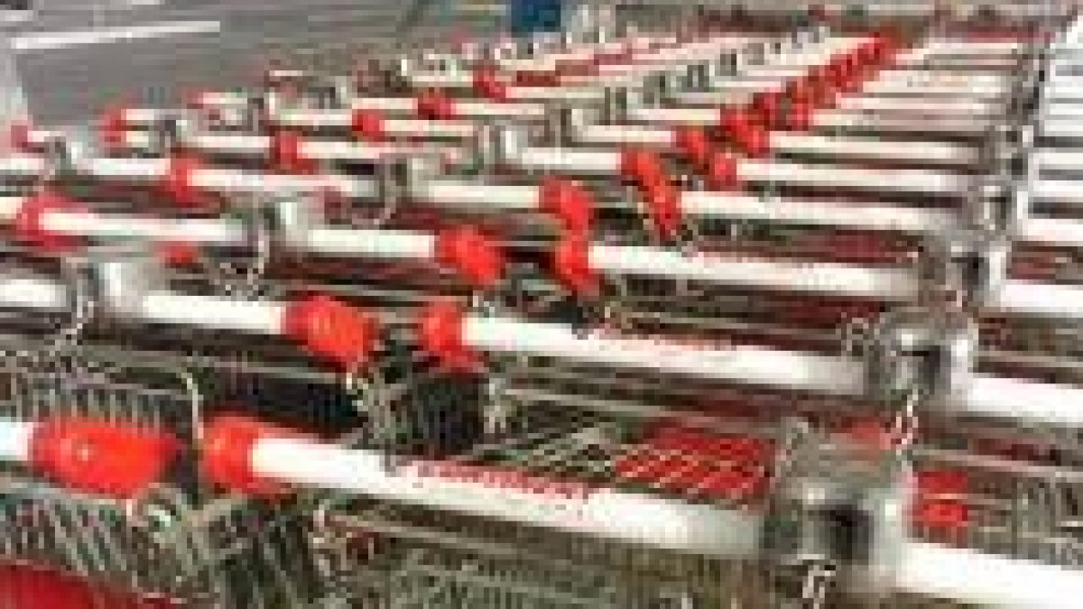 Carros de la compra a la entrada de un hipermercado