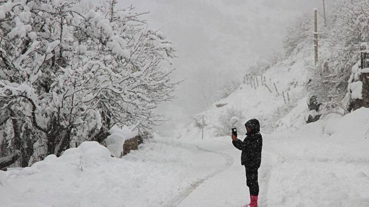 nieve