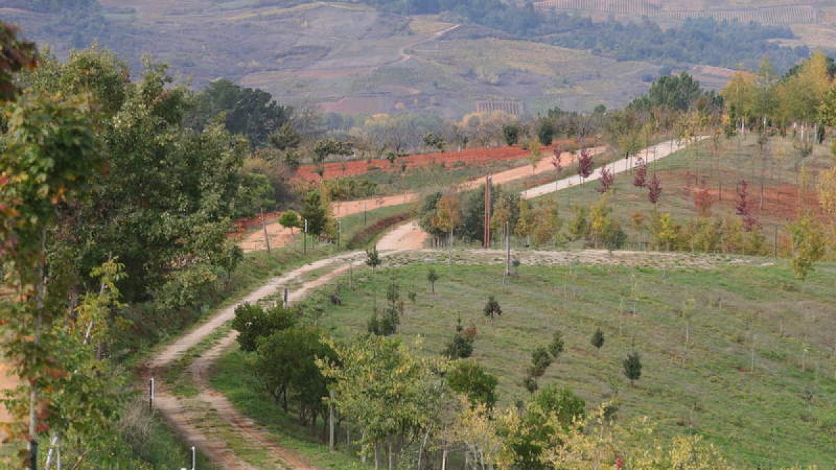 l. de la mata