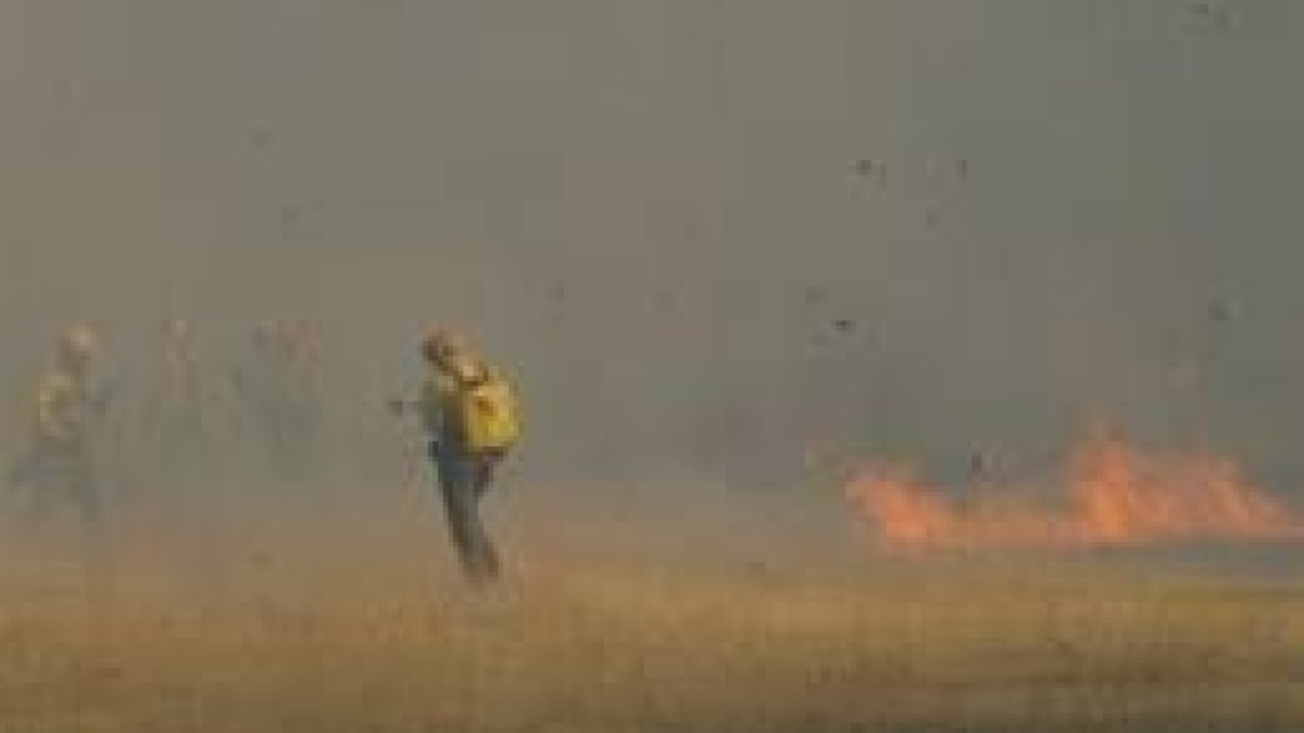 Los incendios suponen la principal causa de denuncia ecológica
