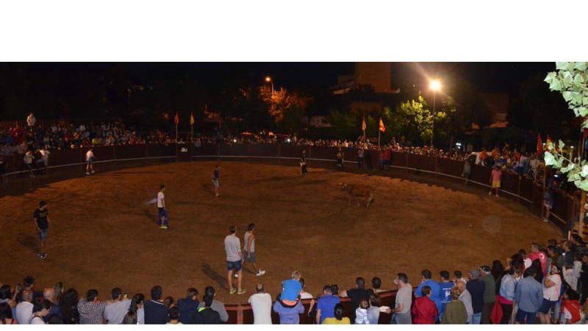 Imagen de la suelta de vaquillas en la plaza de toros de Villamañán durante la fiesta de Los Cachones, que suele registrar una masiva afluencia de aficionados. MEDINA