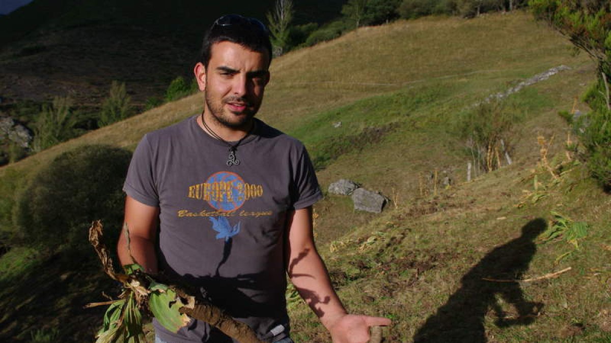 El investigador Óscar González, muestra la raíz de una planta de genciana. O.G.L.
