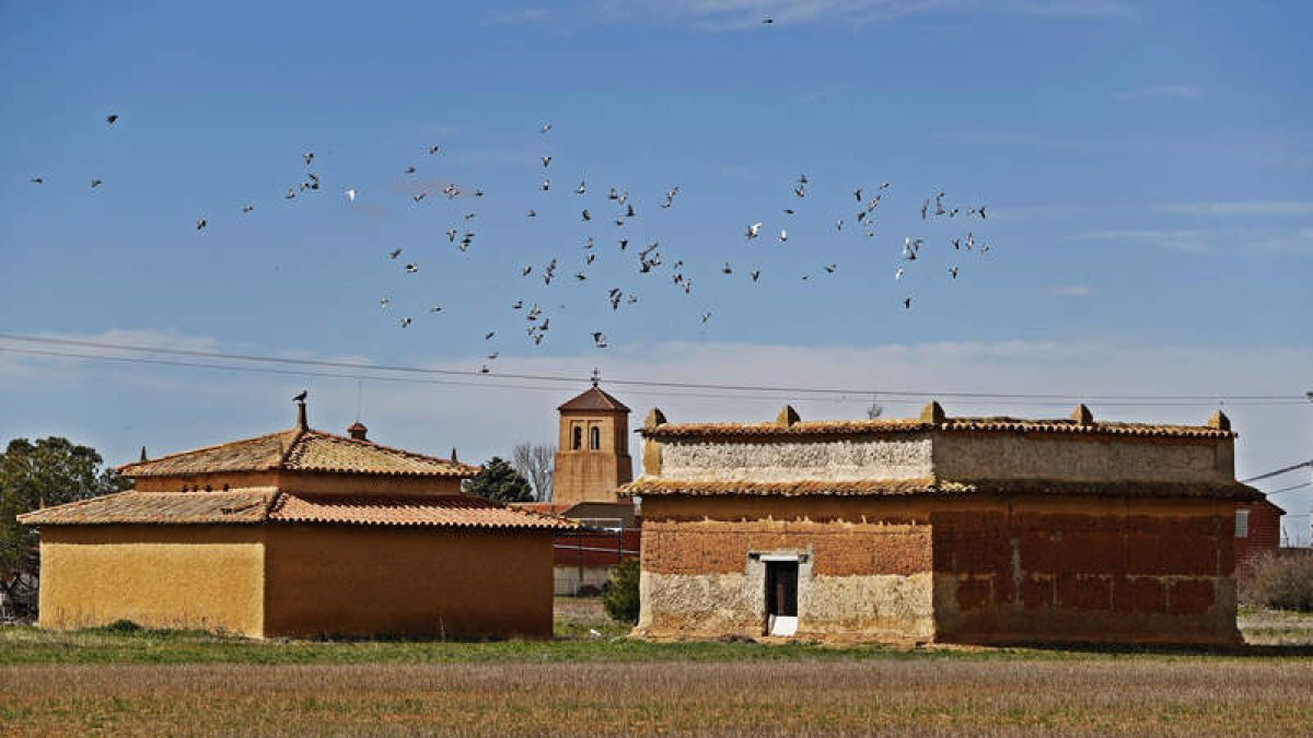 Con 250 habitantes entre los tres pueblos que conforman el municipio (Matanza de los Oteros, Valdespino Cerón yZalamillas), la población se multiplica en verano y cuenta con una colonia asturiana de 40 familias.
