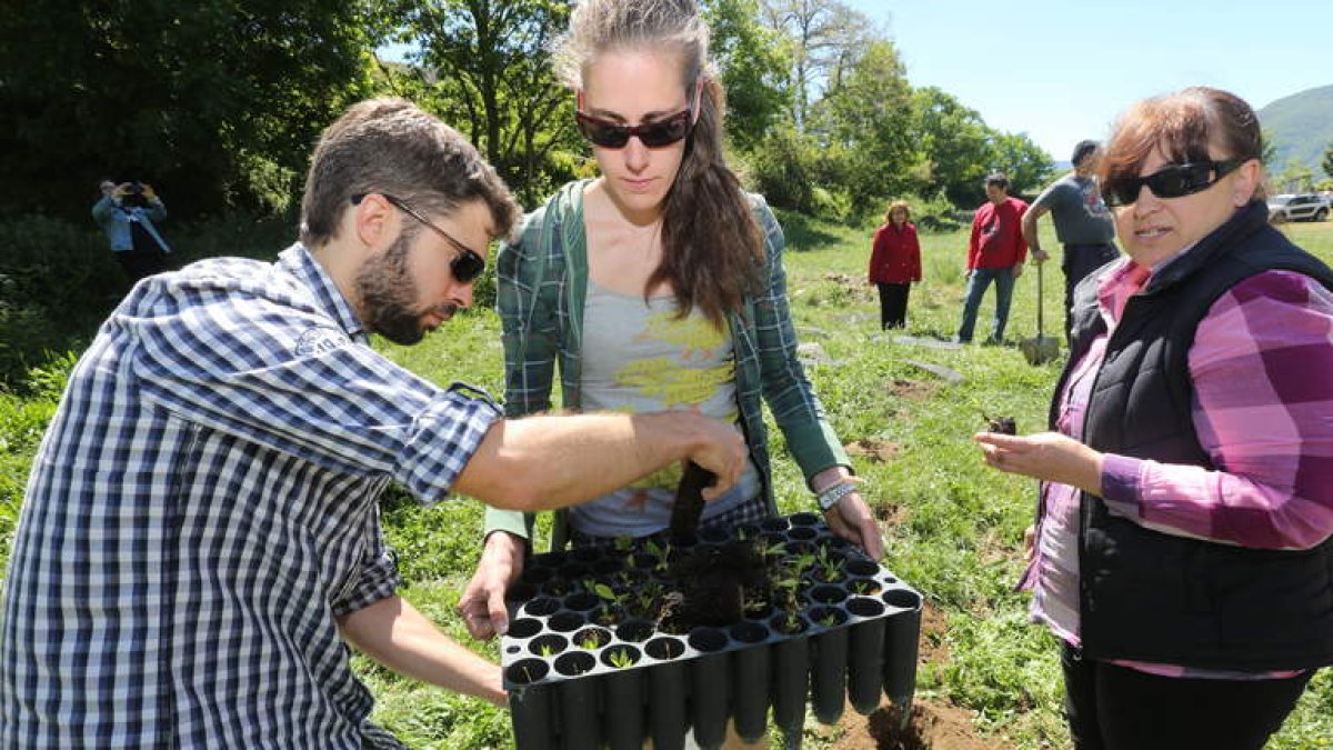 Durante tres días realizan talleres, conferencias y participan en la plantación de árboles de distintas especies.