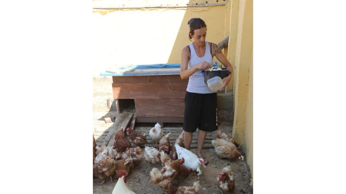 El Santuario tan solo cuenta con media hectárea para cien animales que lo habitan